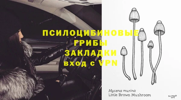 гашик Алзамай