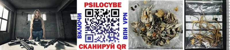 Галлюциногенные грибы мицелий  где можно купить наркотик  Сосенский 